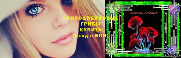 скорость Осинники