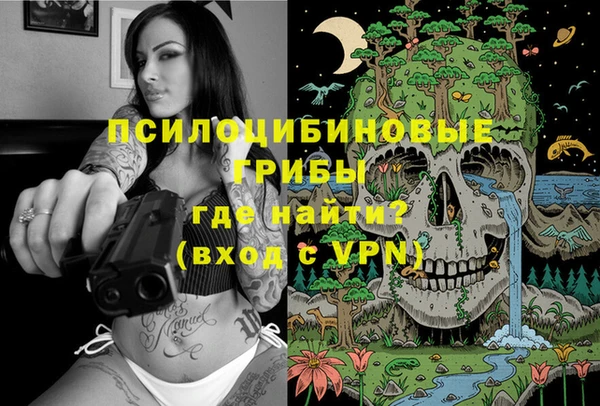 Альфа ПВП Осташков