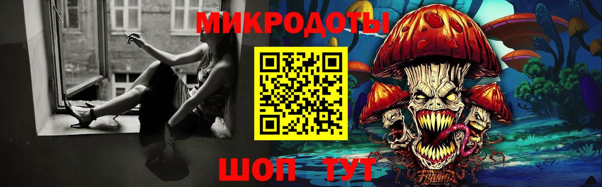 Галлюциногенные грибы Psilocybe  Кашира  Псилоцибиновые грибы Psilocybine cubensis 