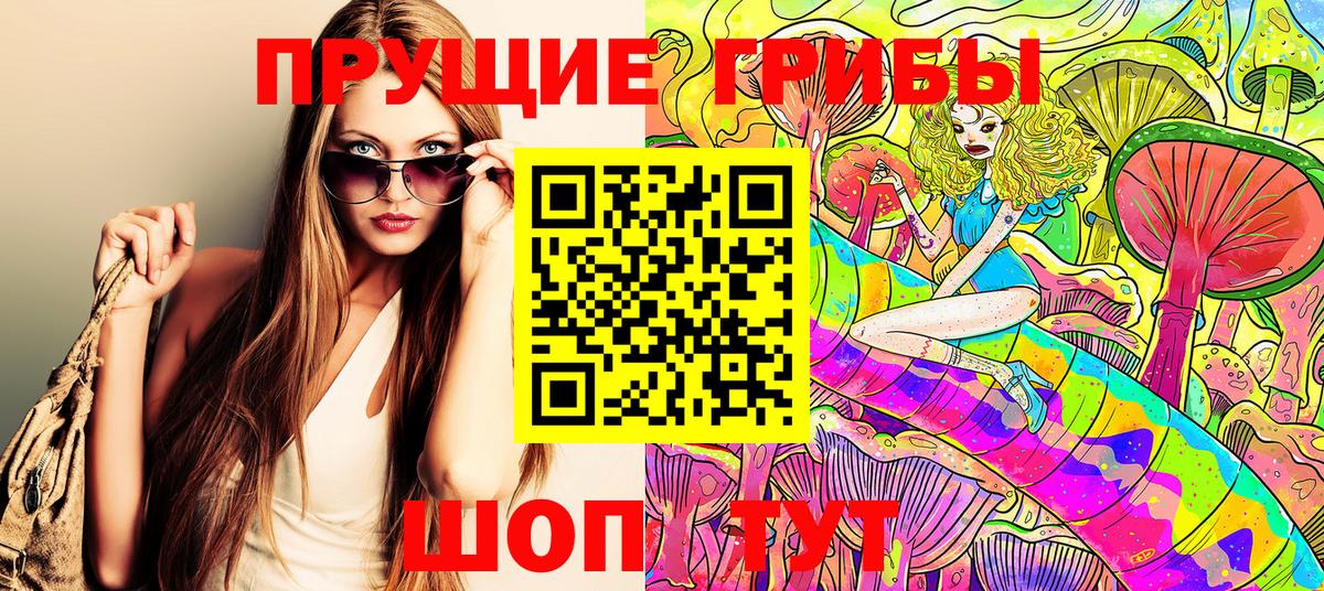 Псилоцибиновые грибы Psilocybe  купить   Кашира  Вход с VPN  Галлюциногенные грибы ЛСД 