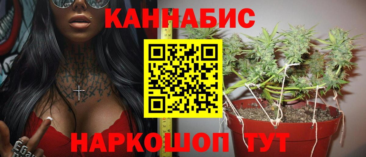 Канабис марихуана Кашира
